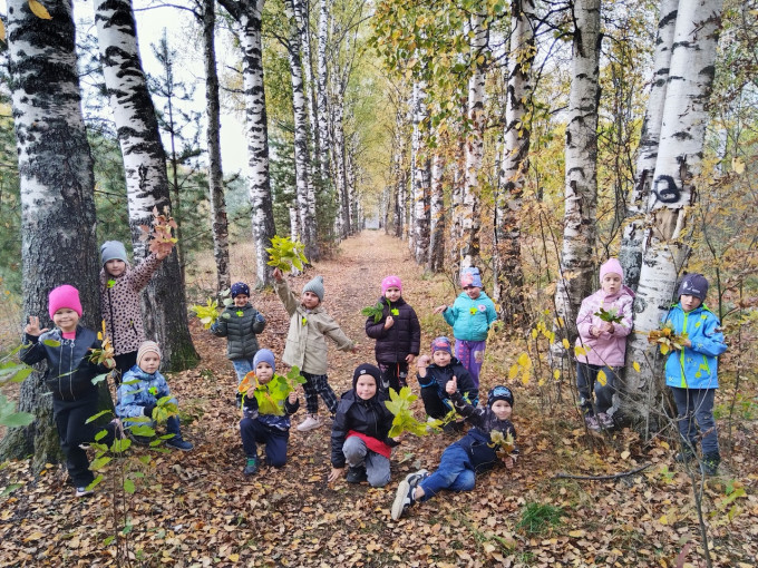 Экскурсия в осенний парк Экскурсия в осенний парк.